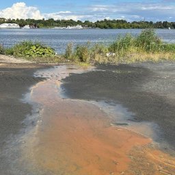 Клязьминское водохранилище признано опасным для здоровья по итогам независимой экспертизы